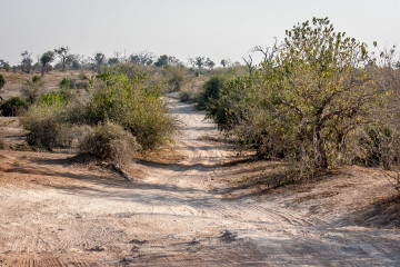 17./18.7. Chobe NP, River Drive nach Ihaha