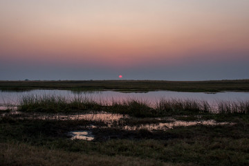 17./18.7. Chobe NP, Ihaha Camp