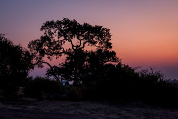 17./18.7. Chobe NP, Ihaha Camp