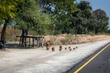 19.7.: Ngoma --> Nambwa