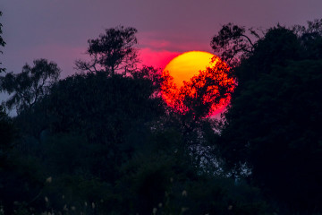 22.7. Sunrise Tour auf dem Kavango