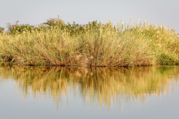 22.7. Sunrise Tour auf dem Kavango