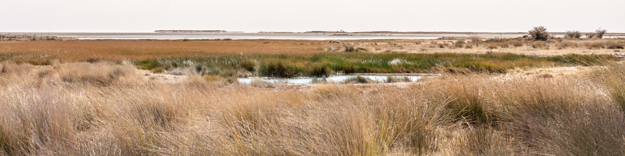 26.7. Okerfontein