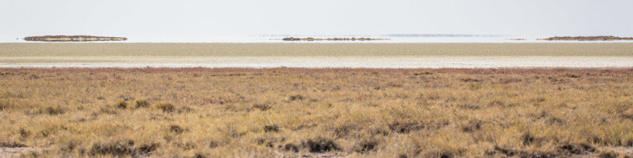 26.7. Okerfontein