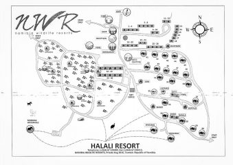 26./27.7. Halali Restcamp