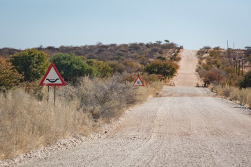 30.8. Fahrt Kamanjab --> Hoada, C40