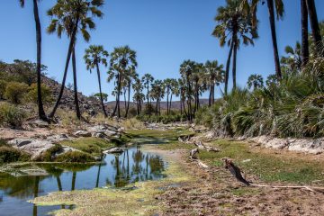 31.7. Trail zum Himba-Dorf