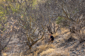 2.8. Wanderung bei den Ugab Terraces