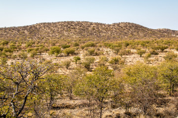 2.8. Wanderung bei den Ugab Terraces