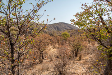 2.8. Wanderung bei den Ugab Terraces