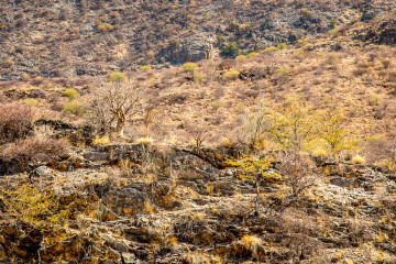 2.8. Wanderung bei den Ugab Terraces