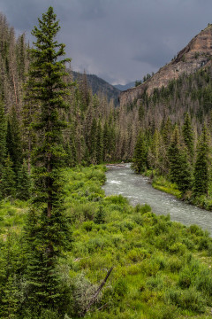 15./16.7. Meeteetse, Shoshone NF