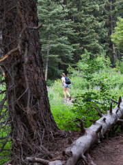 17.7. Trout Lake Trail