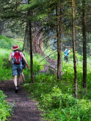 17.7. Trout Lake Trail