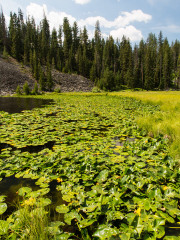 18.7. Lost Lake Trail