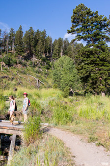 19.7. Beaver Ponds Trail