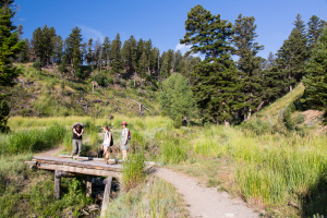 19.7. Beaver Ponds Trail