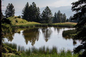 19.7. Beaver Ponds Trail