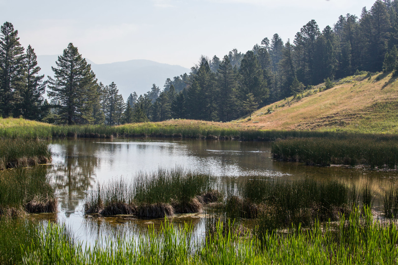 19.7. Beaver Ponds Trail