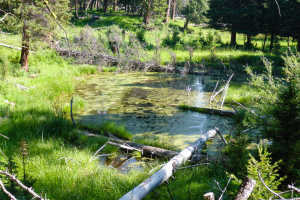 19.7. Beaver Ponds Trail