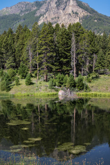 19.7. Beaver Ponds Trail