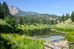 19.7. Beaver Ponds Trail