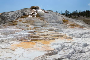 19.7. Mammoth Hot Springs - Palette Spring