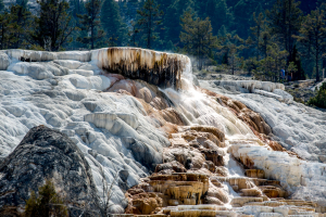 19.7. Mammoth Hot Springs - Palette Spring