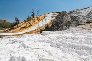 19.7. Mammoth Hot Springs - Palette Spring