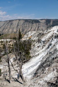 19.7. Mammoth Hot Springs - Jupiter Terrace