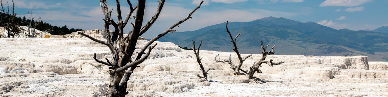 19.7. Mammoth Hot Springs - Main Terrace