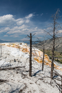 19.7. Mammoth Hot Springs - Main Terrace