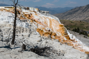 19.7. Mammoth Hot Springs - Main Terrace