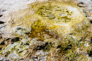 19.7. Mammoth Hot Springs - Algen, Bakterien, Ablagerungen