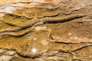 19.7. Mammoth Hot Springs - Algen, Bakterien, Ablagerungen