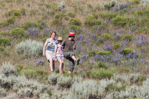 20.7. Yellowstone Picnic Area Trail