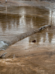 21.7. Lower Geyser Basin