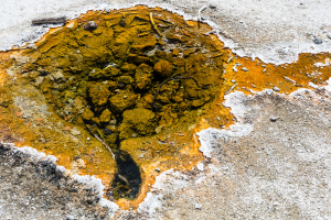 21.7. Midway Geyser Basin - auf dem Weg zum Overlook