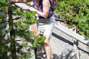 21.7. Midway Geyser Basin - Pfad zum Overlook