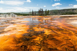 21.7. Biscuit Basin - Sapphire Pool, Run-off