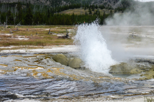 21.7. Biscuit Basin - Jewel Geyser