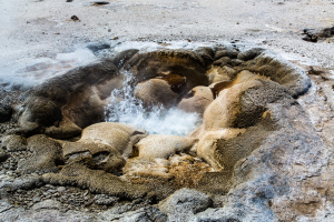 21.7. Biscuit Basin  - Shell Spring