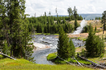 21.7. North Upper Geyser Basin - auf dem Weg vom Biscuit zum Upper Geyser Basin