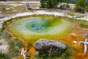 21.7. North Upper Geyser Basin - Mirror Pool