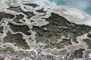 21.7. North Upper Geyser Basin - Artemesia Geyser