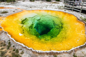 21.7. Upper Geyer Basin - Morning Glory Pool