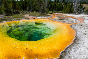 21.7. Upper Geyer Basin - Morning Glory Pool