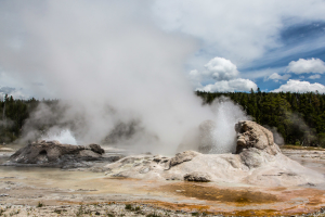 21.7. Upper Geyer Basin - Grotto Geyser