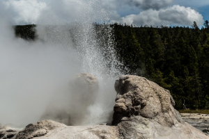 21.7. Upper Geyer Basin - Grotto Geyser
