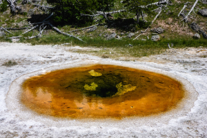 21.7. Upper Geyer Basin - Wave Spring